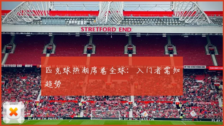 匹克球热潮席卷全球：入门者需知趋势