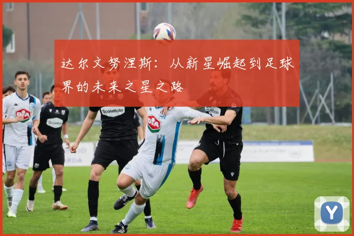 达尔文努涅斯：从新星崛起到足球界的未来之星之路