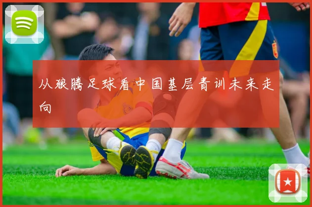 从狼腾足球看中国基层青训未来走向