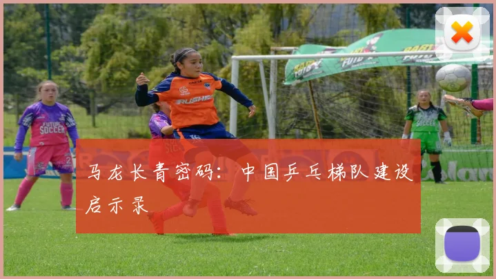 马龙长青密码：中国乒乓梯队建设启示录
