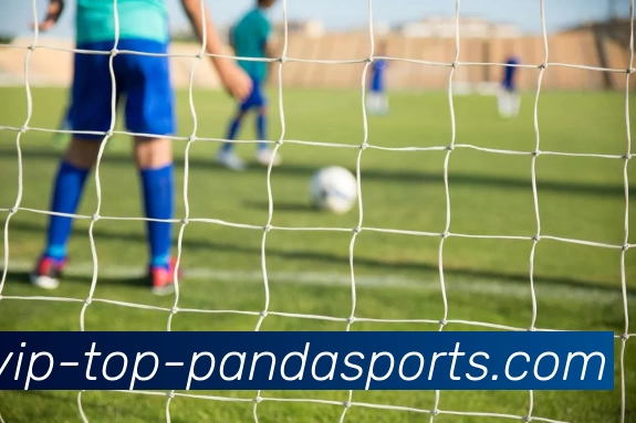 熊猫体育平台生态图