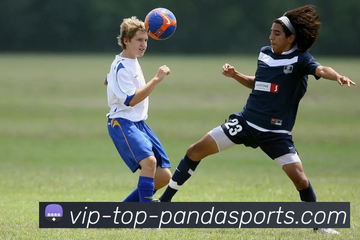 熊猫体育APP 封面图